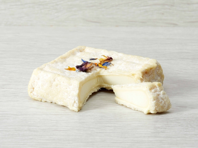 CARRE DE SAINT VICTOR