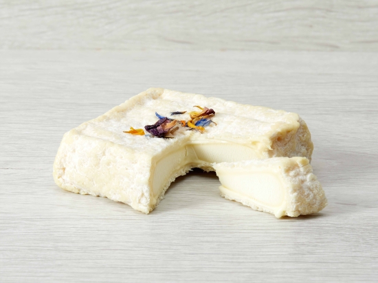 CARRE DE SAINT VICTOR